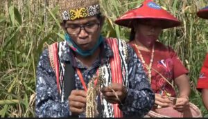 Tokoh Adat Dayak Harap SDM Lokal Ditingkatkan Sambut IKN Nusantara