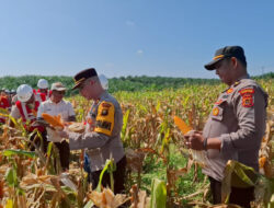 Polri Nyatakan Siap Kawal Program Ekspor Jagung, Dukung Penuh Arahan Presiden dan Wamentan