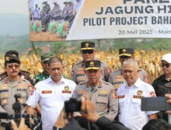 Dari Lahan Tidur ke Lahan Subur, Sinergi Polri-FKDB Cetak Panen Jagung 11,5 Ton per Hektar