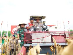Program Gugus Tugas Polri Berhasil Tingkatkan Produksi, Pemerintah Siapkan Ekspor Jagung