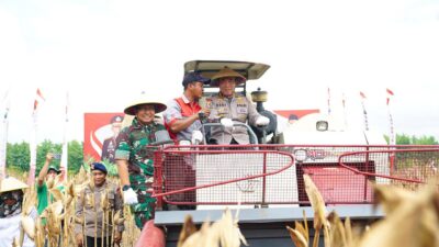 Program Gugus Tugas Polri Berhasil Tingkatkan Produksi, Pemerintah Siapkan Ekspor Jagung