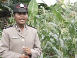 Bripda Imelda Siap Dukung Program Asta Cita, Kawal Swasembada Lewat Peran Strategis di Tengah Petani